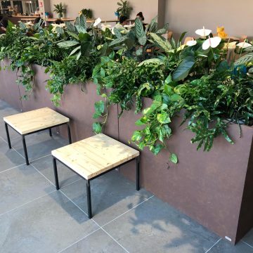 388b1e3a-5e0a-45b8-84c9-3e8f221ade27