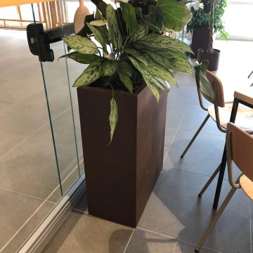 654a105e-fed2-4e70-bb4a-561397630876