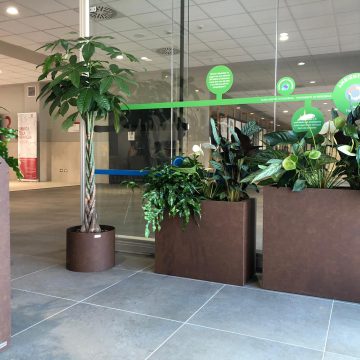 6a7eb08d-3220-413c-b840-838ba5444386